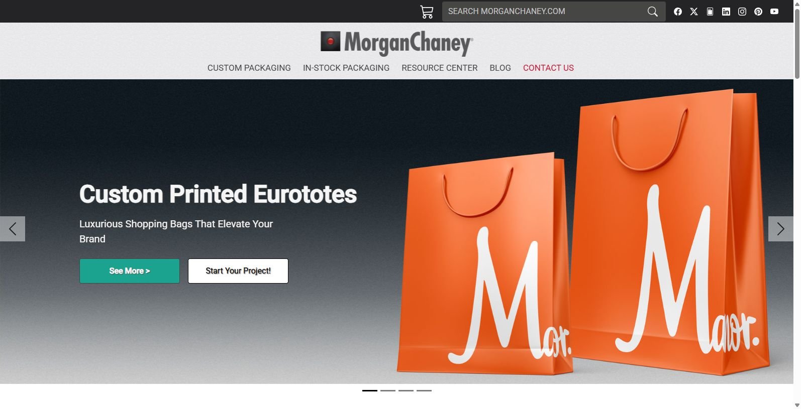 Morgan Chaney: Leading Provider of Retail Paper Bags Wholesale